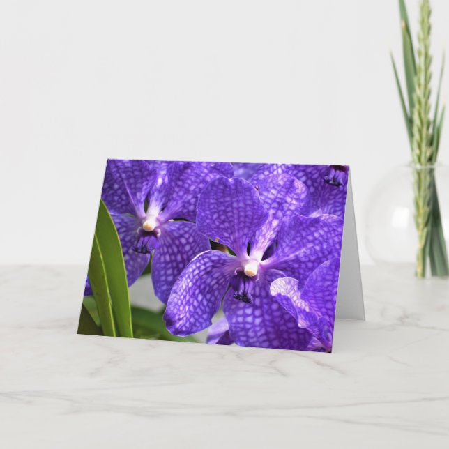 Orchidée, carte (Devant)
