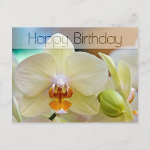 Orchidée ・ Carte postale Anniversaire