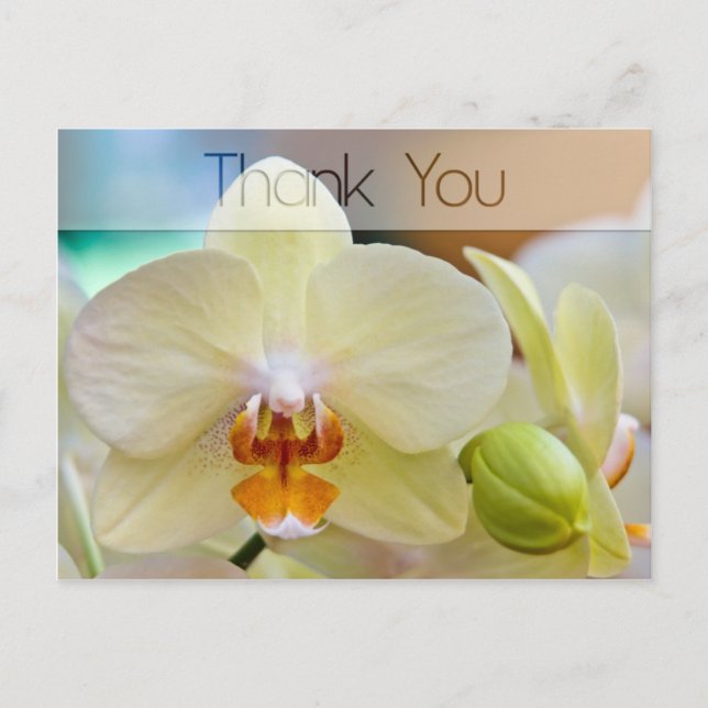 Orchidée ・ Carte postale Merci (Devant)