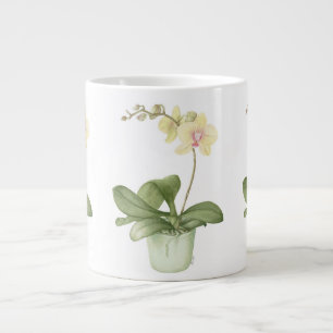 Orchidée dans le pot vert dans la grande tasse