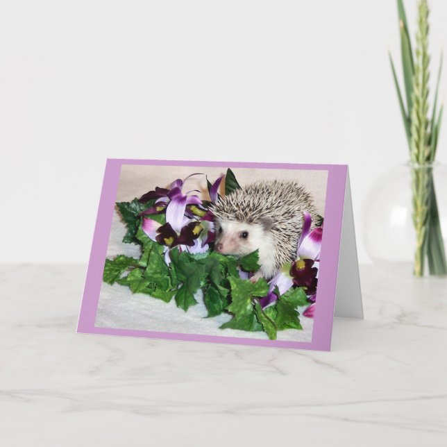 Orchidee der Igel Karte (Vorderseite)