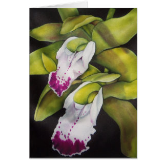 Orchidée du Cymbidium vert