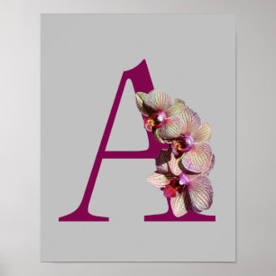 Orchidee Elegantes Monogramm Initiale A Poster