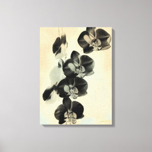 Orchidee erröten Platten III Leinwanddruck