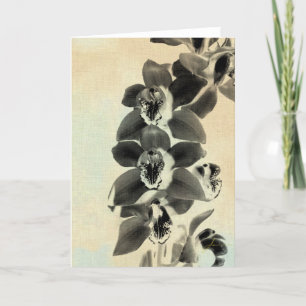 Orchidee erröten Platten IV Karte
