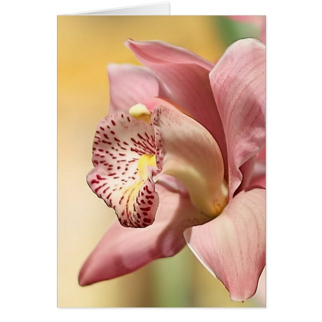 Orchidée Fleur Simple Rose Joyeuses Pâques (Devant)