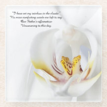 Orchidee im weißen "Regenbogen "
