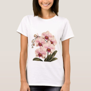 Orchidee in Blüte T-Shirt