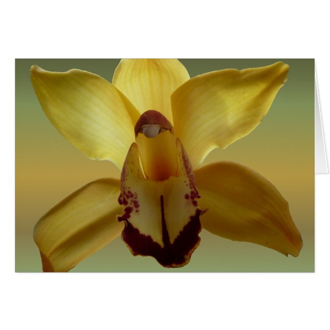 Orchidée jaune (Devant horizontal)