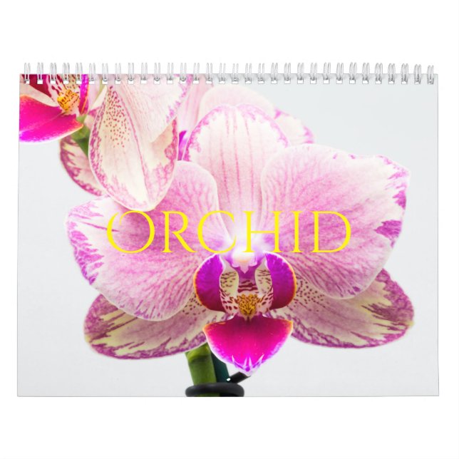 Orchidee Kalender (Titelbild)