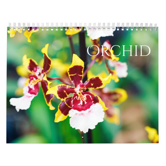 Orchidee Kalender (Titelbild)