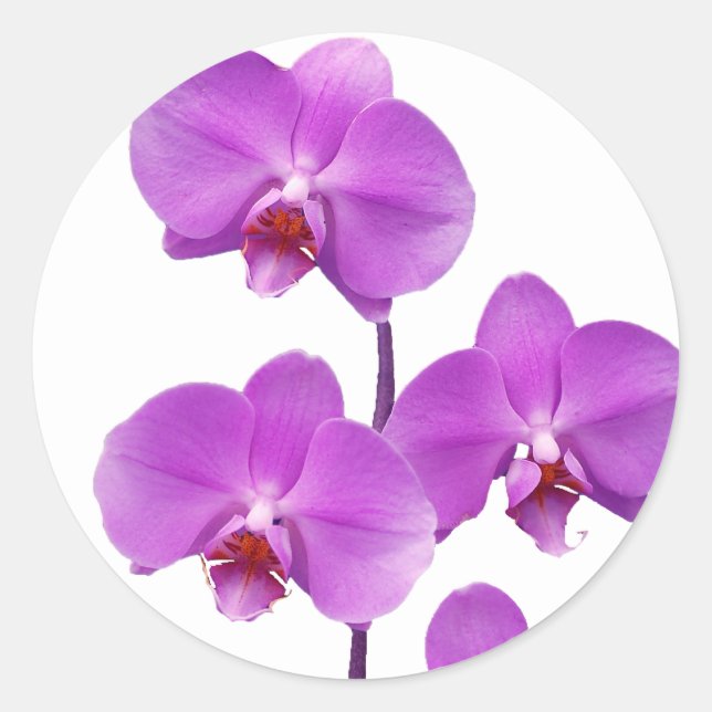 Orchidee lila rev2 600 runder aufkleber (Vorderseite)