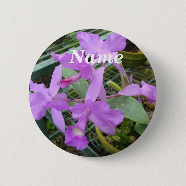 Orchidee -- Nationale Blume von Costa Rica, Button (Vorderseite)