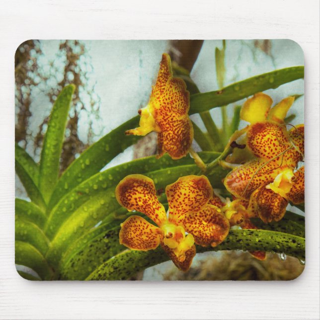 Orchidee - Oncidium - Gereift Mousepad (Vorne)