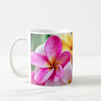 orchidée, opal Hawaiian fleur tasse