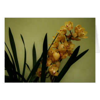 "orchidée" par Larry Coressel