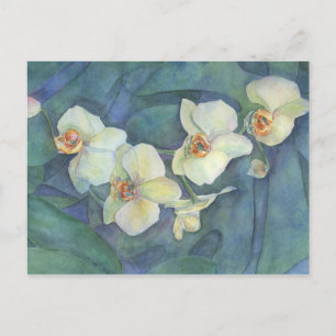 Orchidee Postkarte