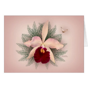 Orchidée rose