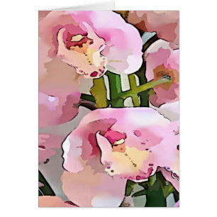 Orchidée rose et blanche
