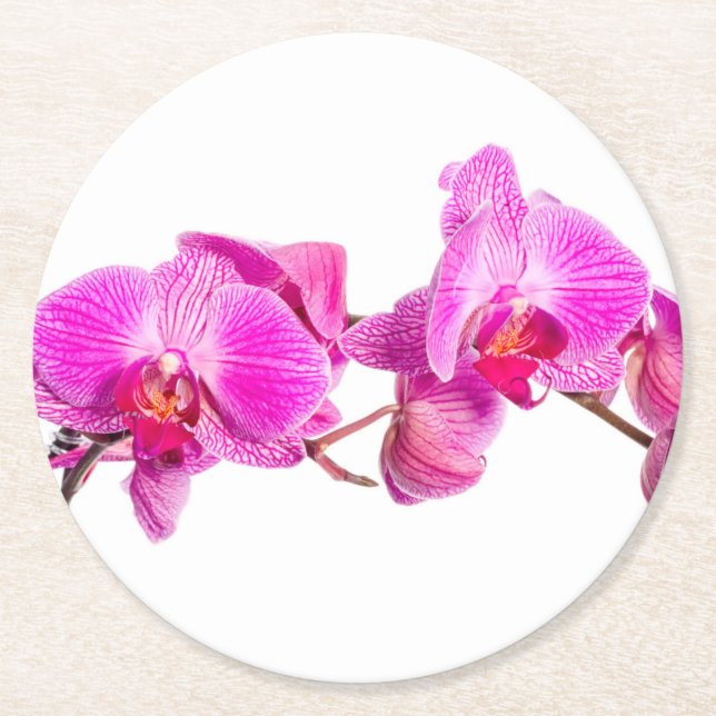 Orchidee Runder Pappuntersetzer (Vorderseite)