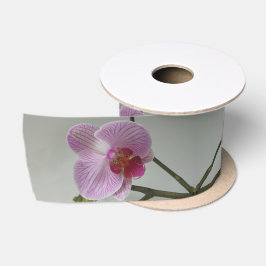 Orchidee Satinband