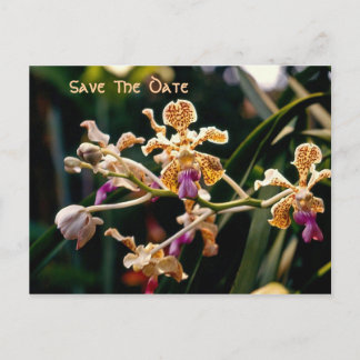 Orchidée sauvage Enregistrer la carte postale Date