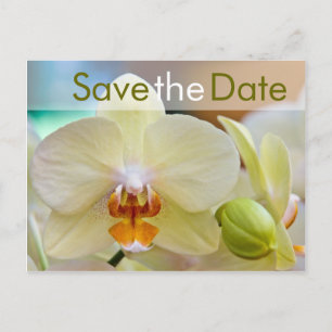 Orchidee ・ Save the Date Postkarte