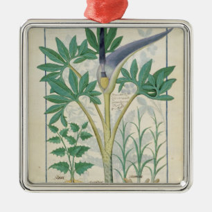 Orchidee Silbernes Ornament