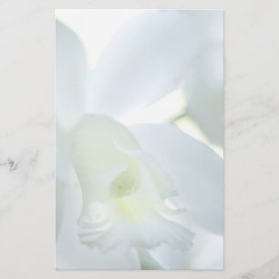Orchidee stationär briefpapier