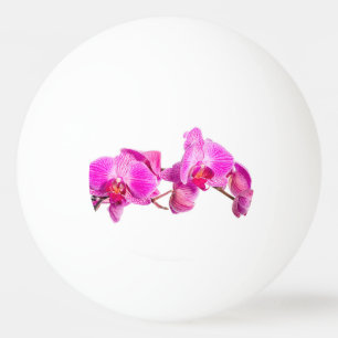 Orchidee Tischtennisball