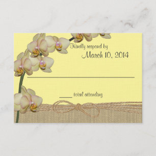 Orchidée tropicale Réponse de plage rustique