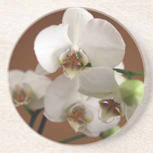 Orchidee Untersetzer