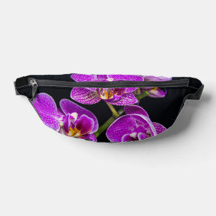 Orchidée violette