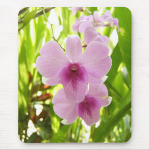 Orchidee - Welt von unseren Selbst Mousepad
