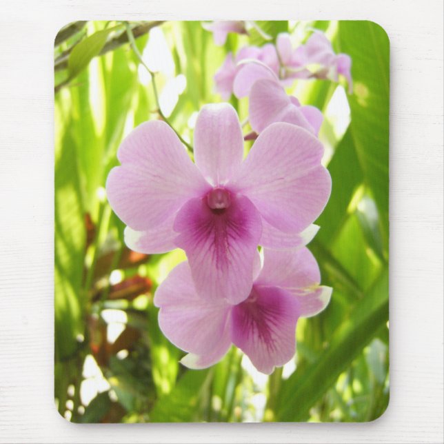 Orchidee - Welt von unseren Selbst Mousepad (Vorne)