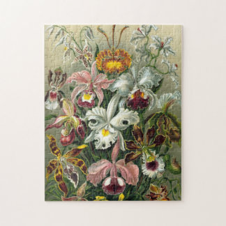 Orchideen