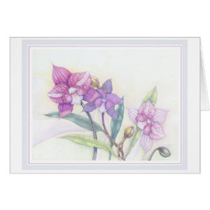Orchideen