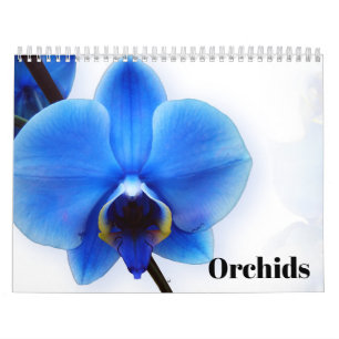 Orchideen 2025 kalender