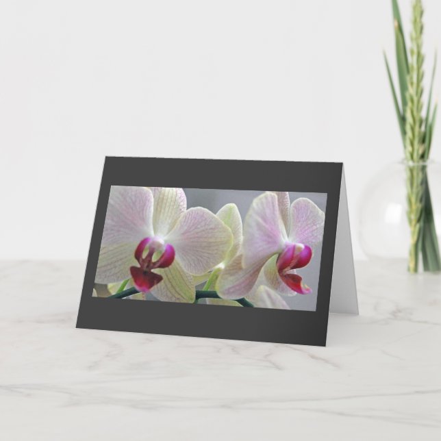 Orchideen #2 karte (Vorderseite)