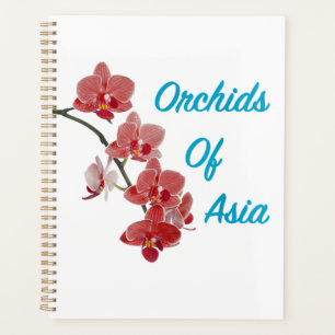 Orchideen Asiens Day Spa Planer