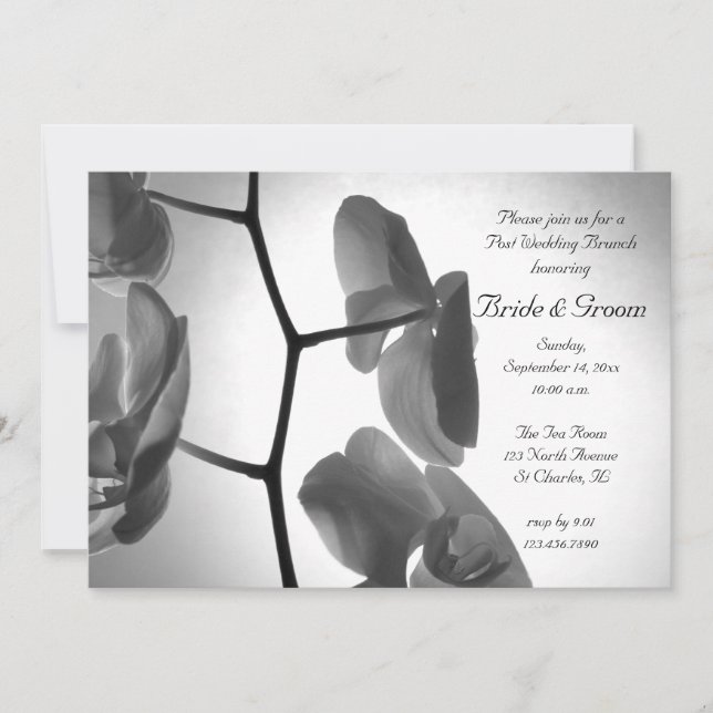 Orchideen auf der Stem Post Wedding Brunch Einladu Einladung (Vorderseite)