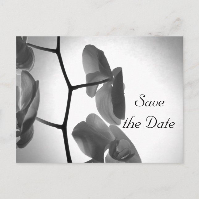 Orchideen auf Stem Wedding Save the Date Ankündigungspostkarte (Vorderseite)