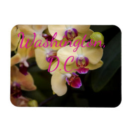 Orchideen aus Rosa und Gelb, Washington, D.C. Magnet
