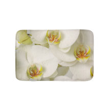 Orchideen