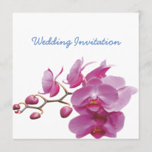 Orchideen-billige Hochzeit verpackt