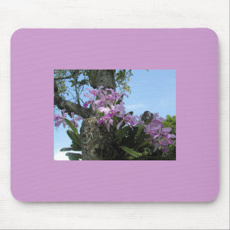 Orchideen-Blume Mousepad -