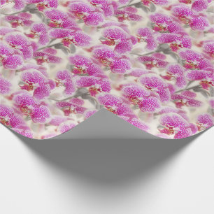 Orchideen Blume Rosa Bläschen Geschenkpapier