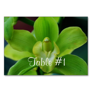 Orchideen-Blume Tischnummer