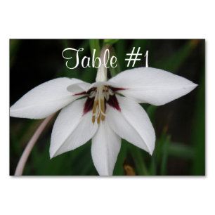 Orchideen-Blume Tischnummer