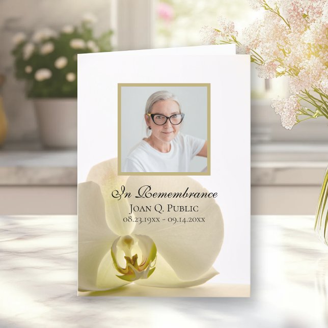 Orchideen-Blume über den Weißbeerdienst Programm (Von Creator hochgeladen)